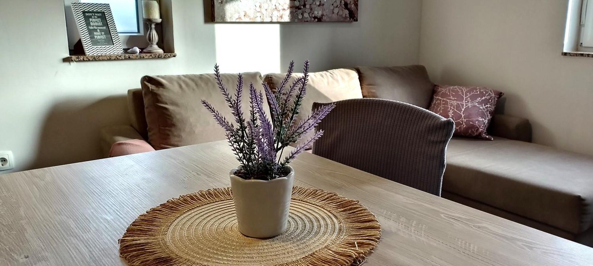 Apartment Morini Ζαντάρ Εξωτερικό φωτογραφία
